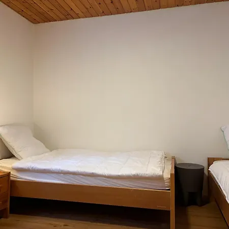 Aletsch Arena - 5 Minutes From The Lifts *